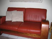 Two Leather Couches